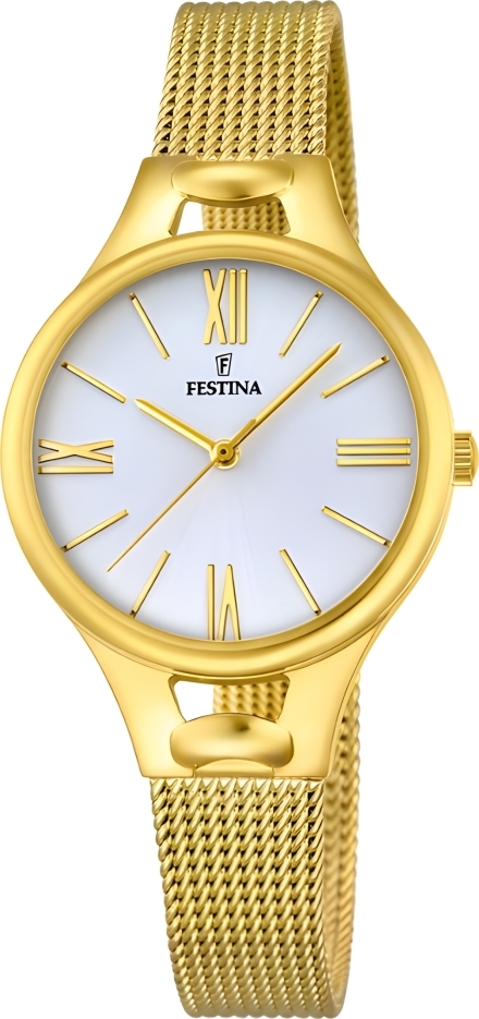 Часы Festina 16951.1 (alt. ref. 169511)