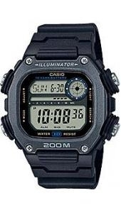 Casio Casio Collection DW-291HX-1A