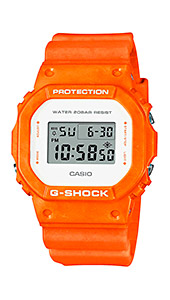 Casio G-Shock DW-5600WS-4