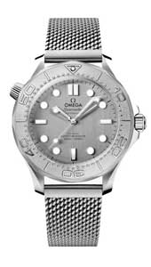Omega Seamaster Diver 300 m 210.30.42.20.06.002