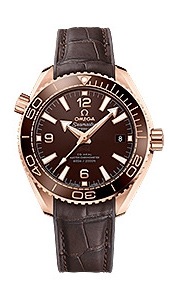 Omega Seamaster Planet Ocean 600 m 215.63.40.20.13.001