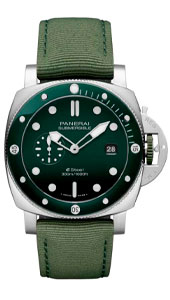 PAM01287