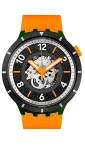 Swatch Swatch Power of Nature SB03G107