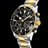 Jaguar J889.2. Изображение 2